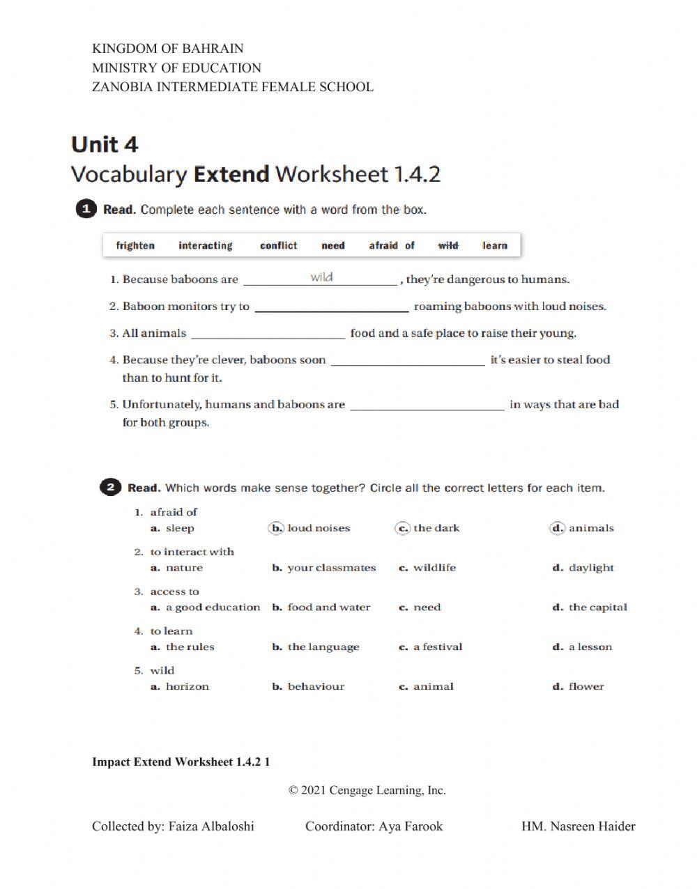 Vocabulary Extend Worksheet
