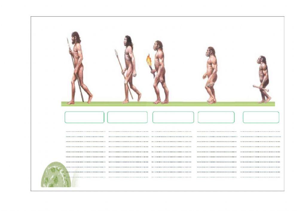 Evolucion del Hombre