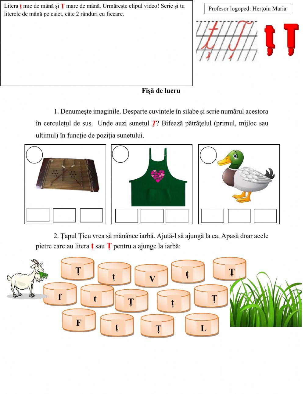 Sunetul și litera Ț