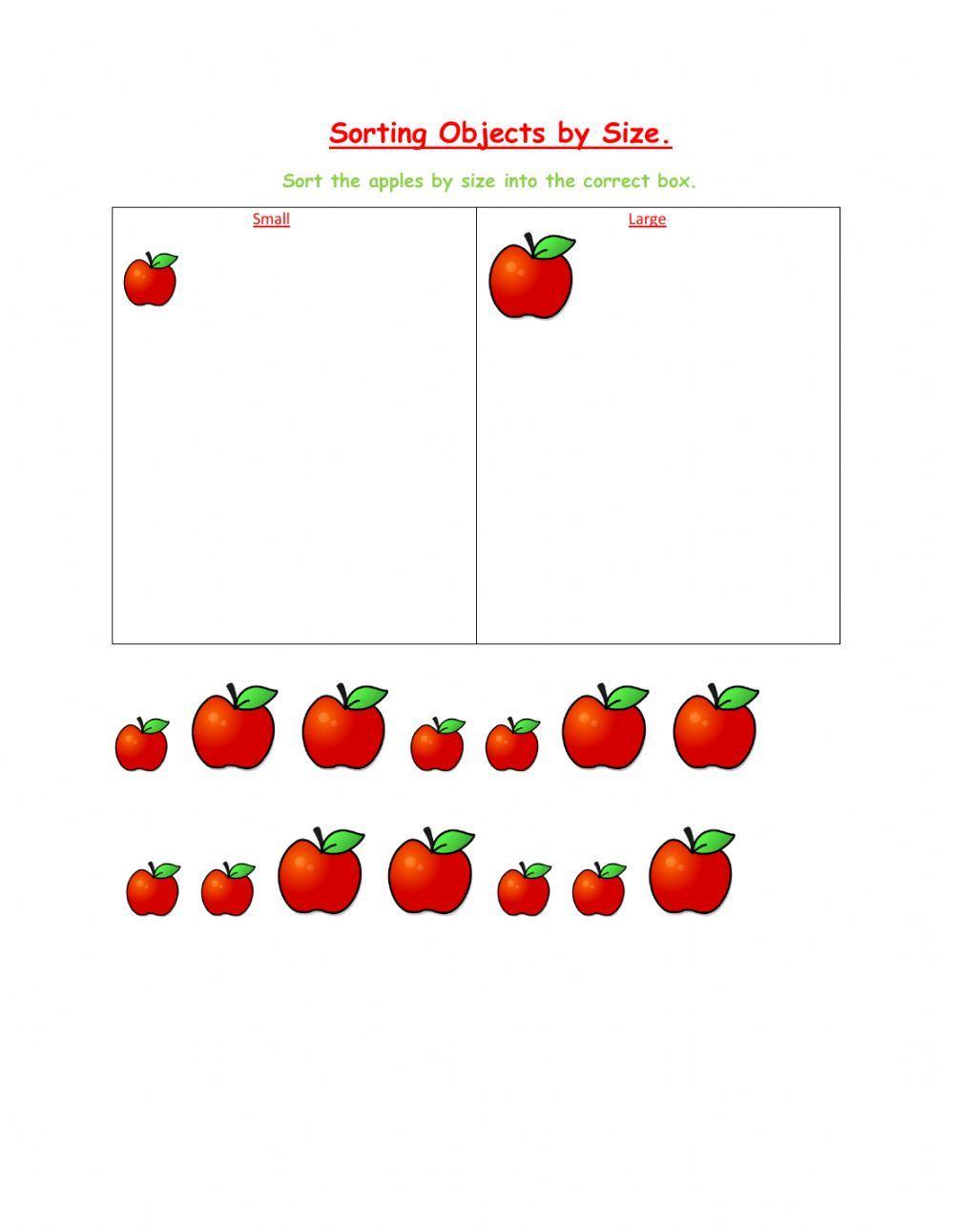 Sorting Objects by size worksheet | Live Worksheets sorting-objects-by-size-worksheet-live-worksheets