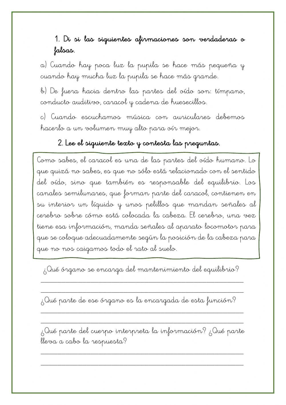 Repasamos los cincos sentidos.