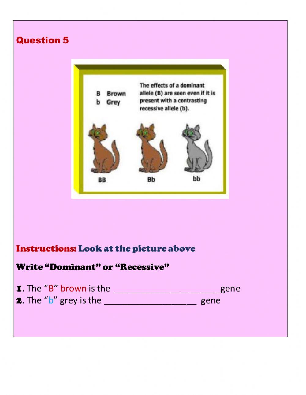 Introduction to genes