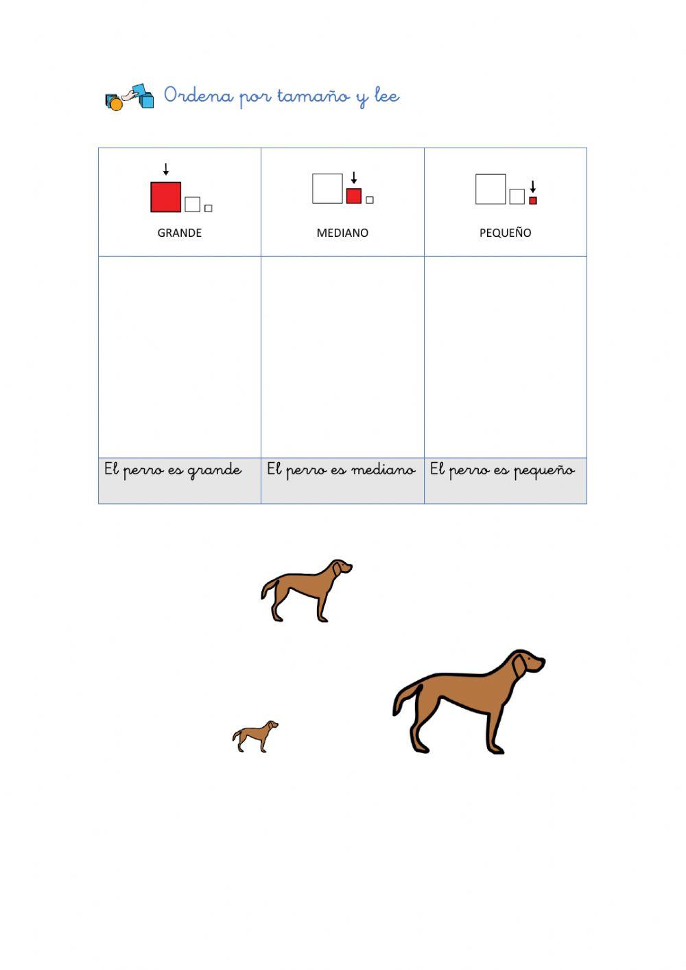 Grande, mediano y pequeño