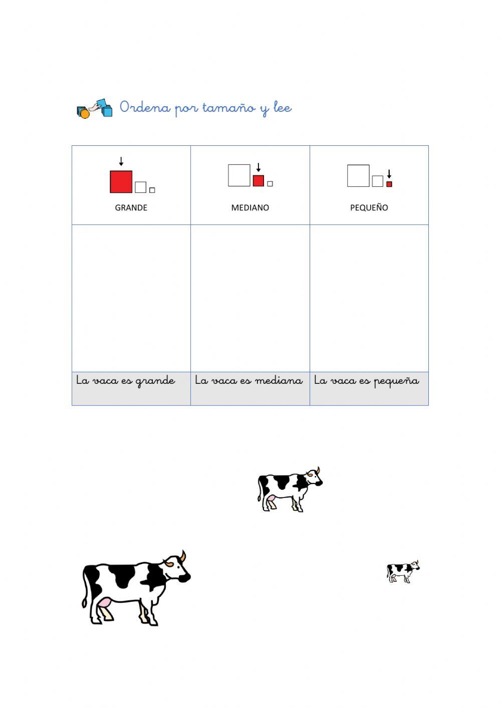 Grande, mediano y pequeño