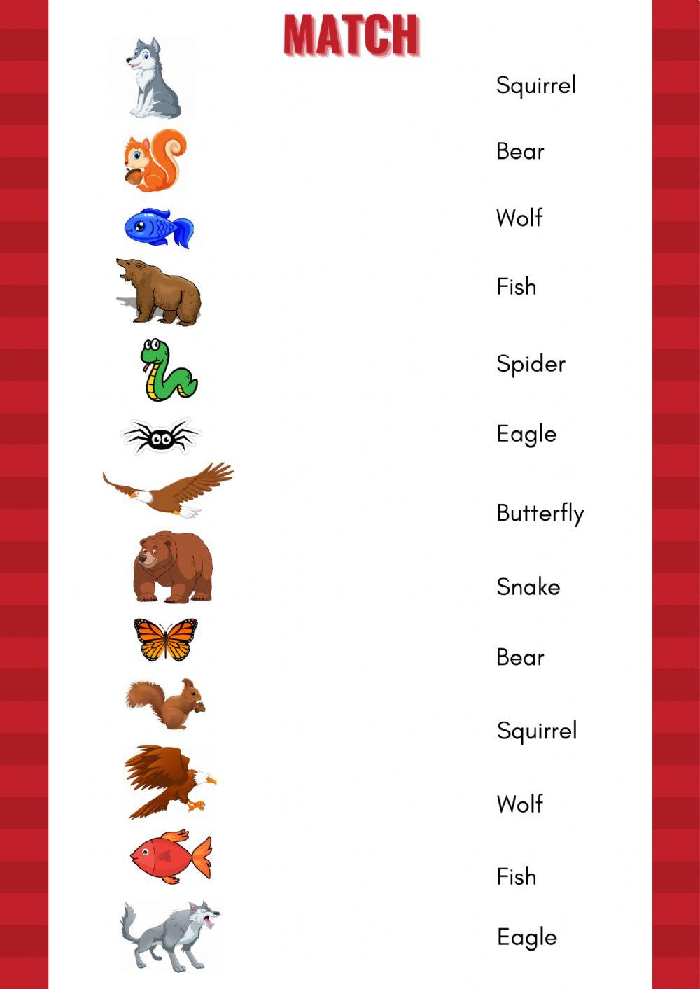 Animals worksheet