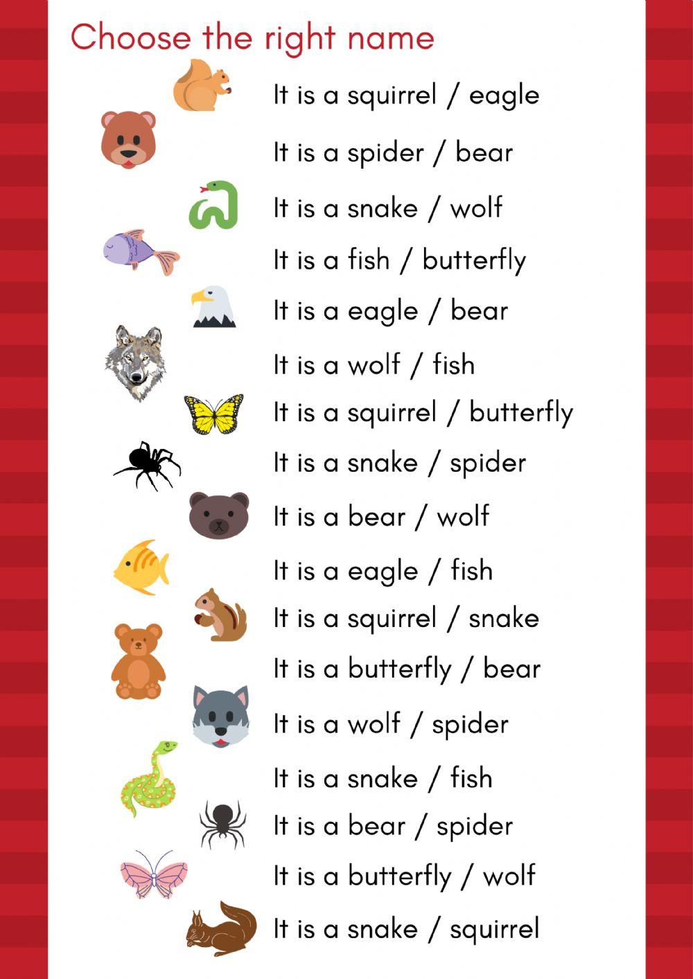 Animals worksheet