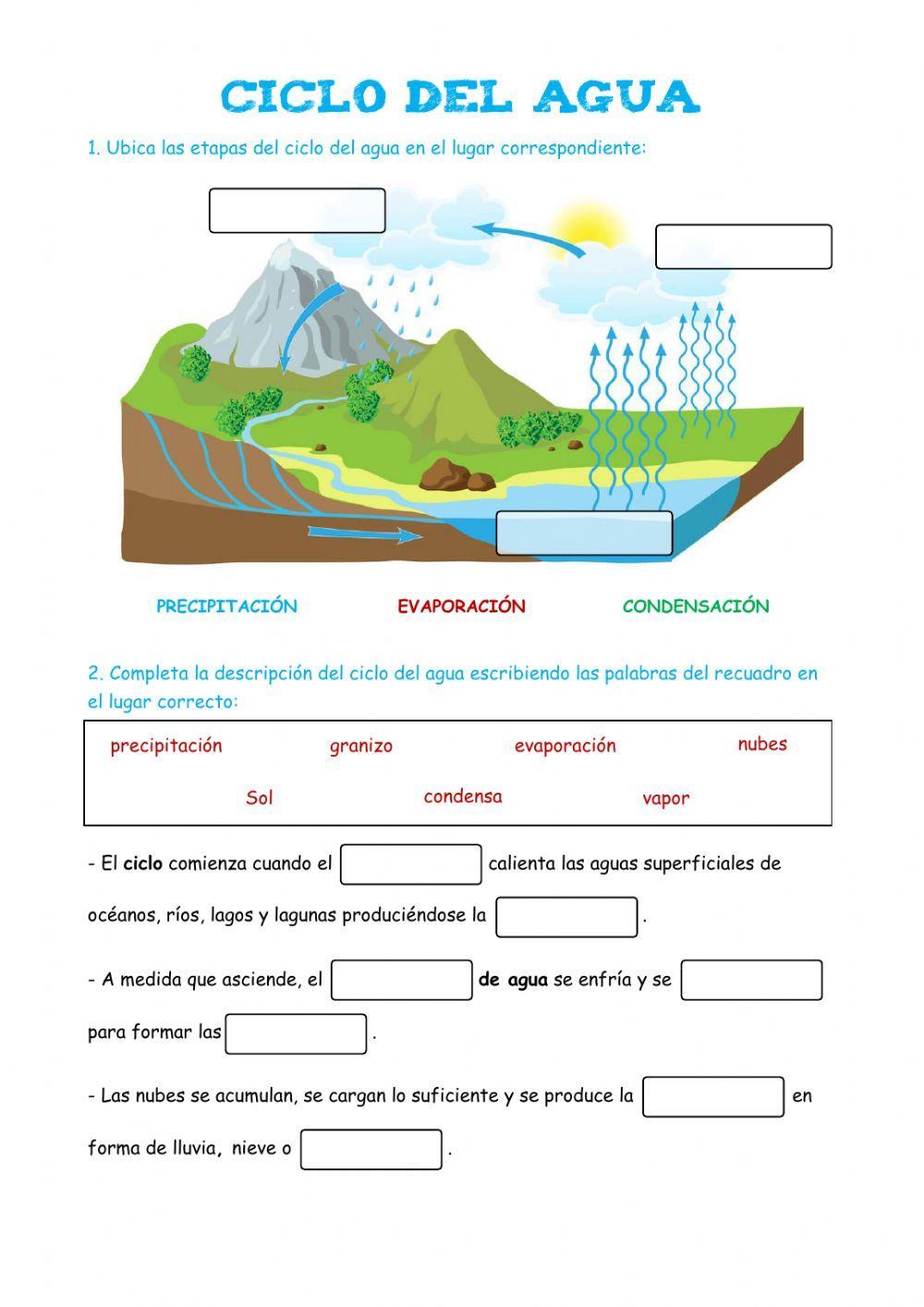 Ciclo del agua Ciclo del agua