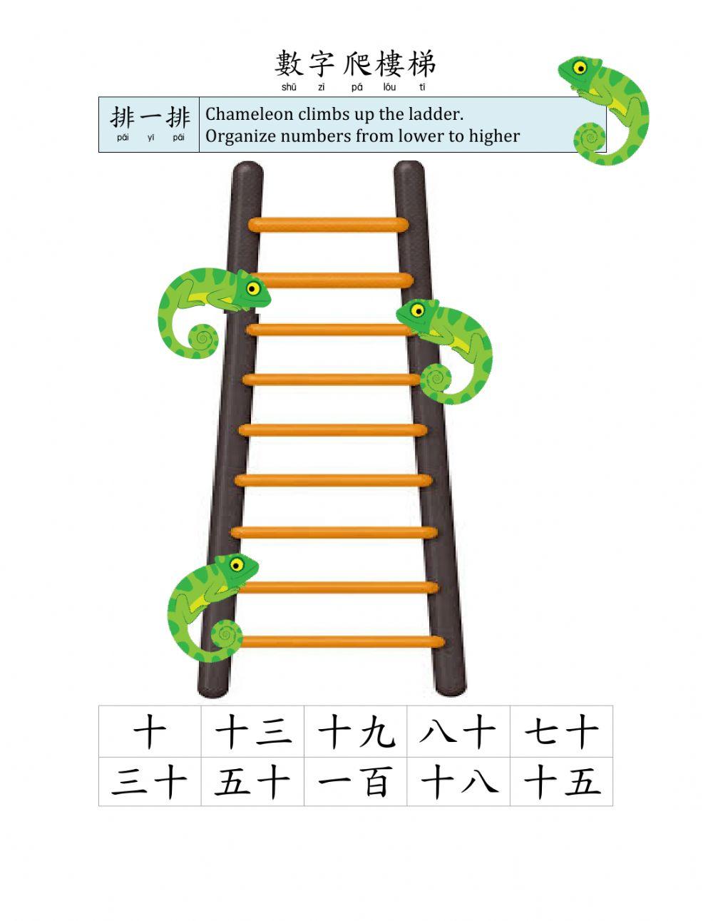 Number Ladder