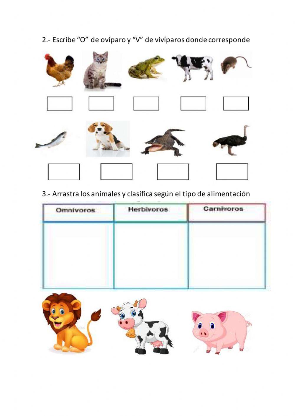 Descubrimiento del Mundo Natural y Social