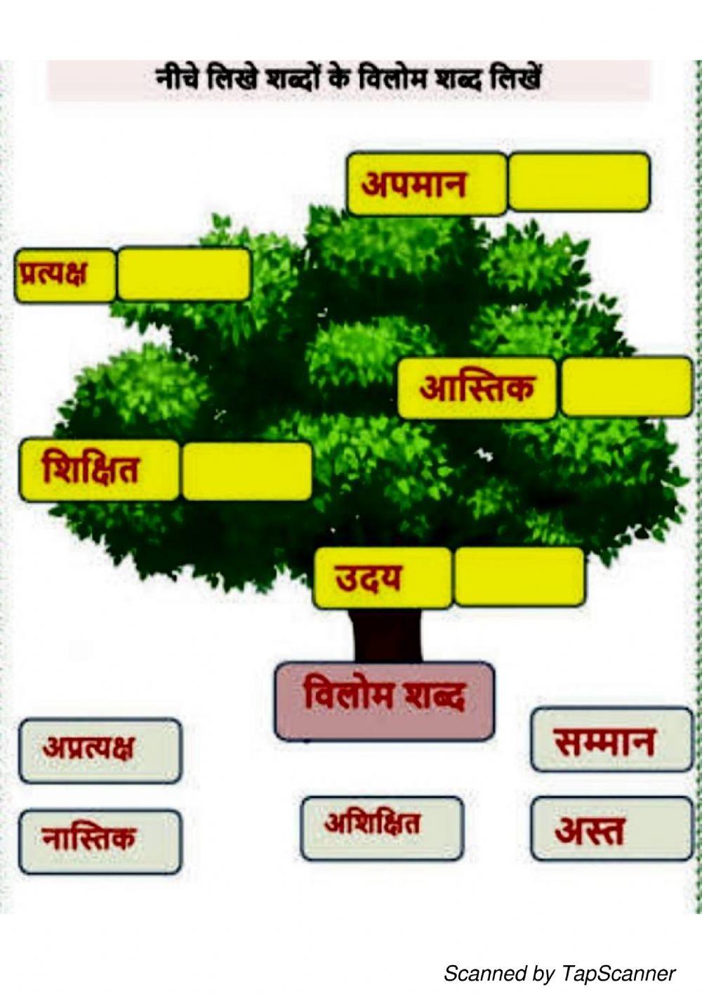Opposite words in hindi class 2