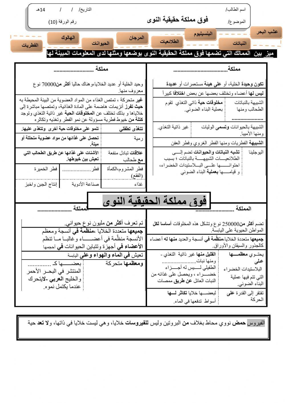 ورقة 10تفاعلية1