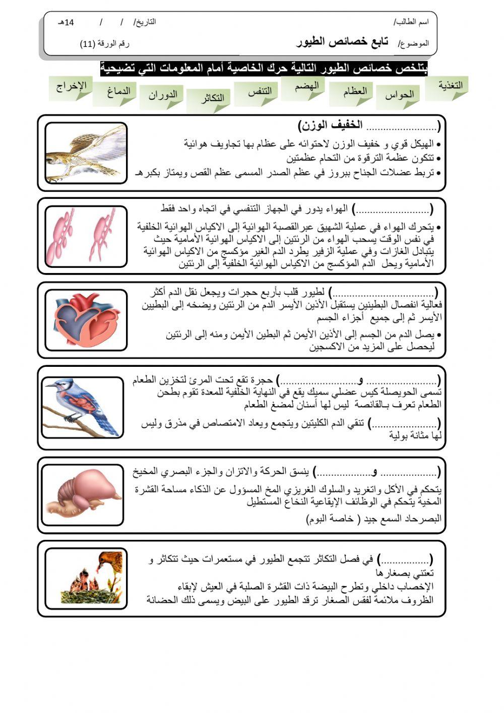 ورقة 11تفاعلية2