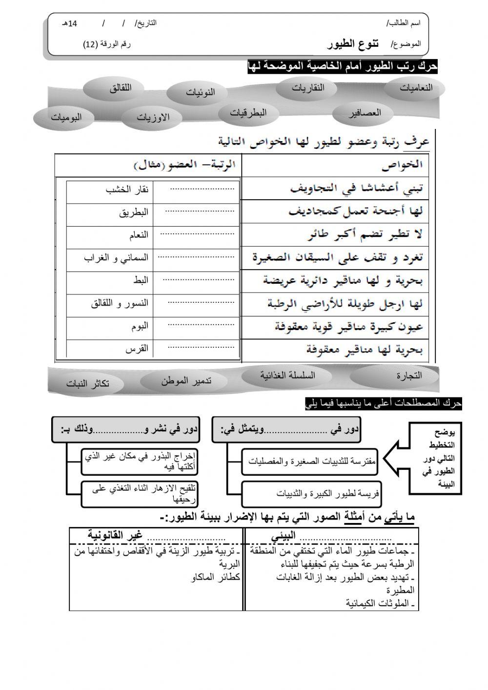 ورقة 12تفاعلية2