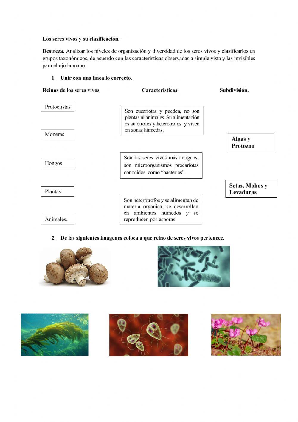Repaso ciencias naturales 7mo