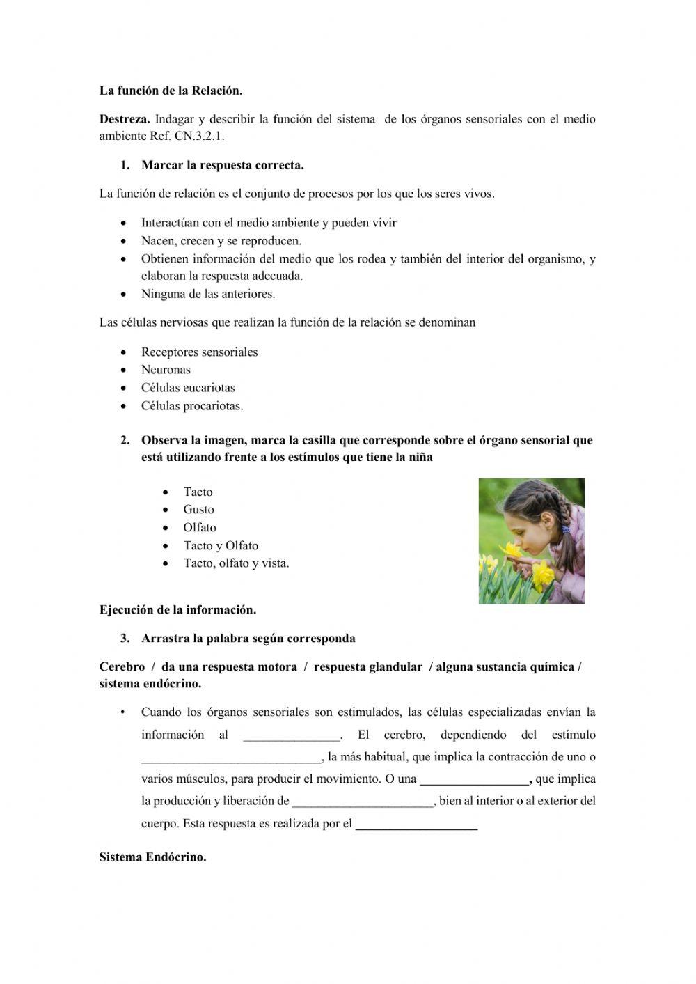 Repaso ciencias naturales 7mo