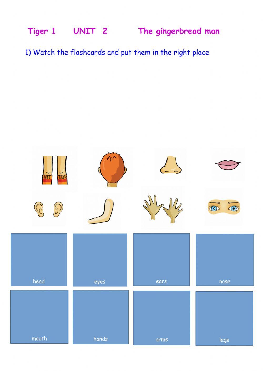 Body Parts Tiger 1 Unit 2