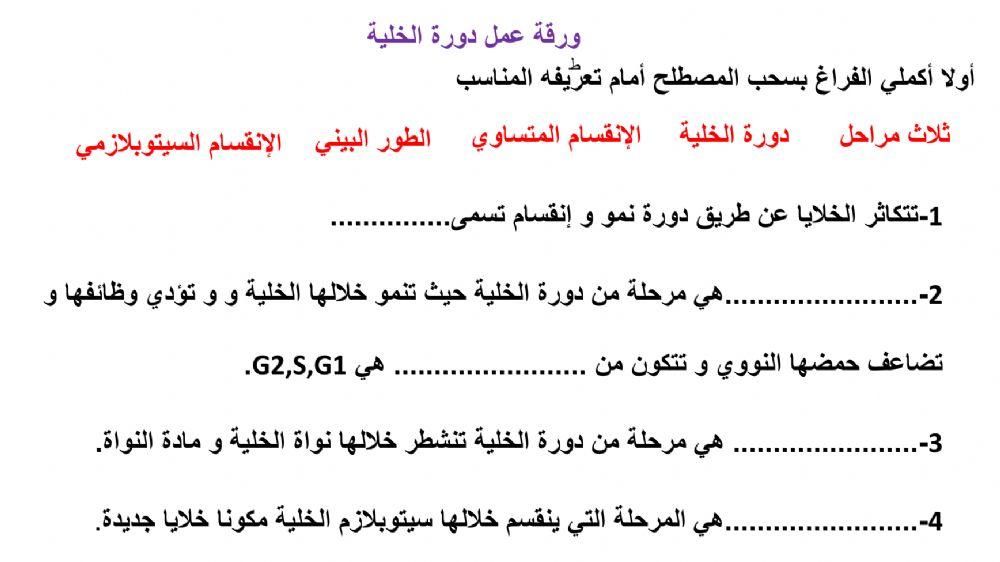 دورةحياةالخلية1