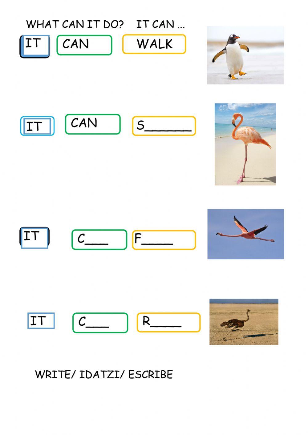 Unit 2  unit 2 animals 3 CAN