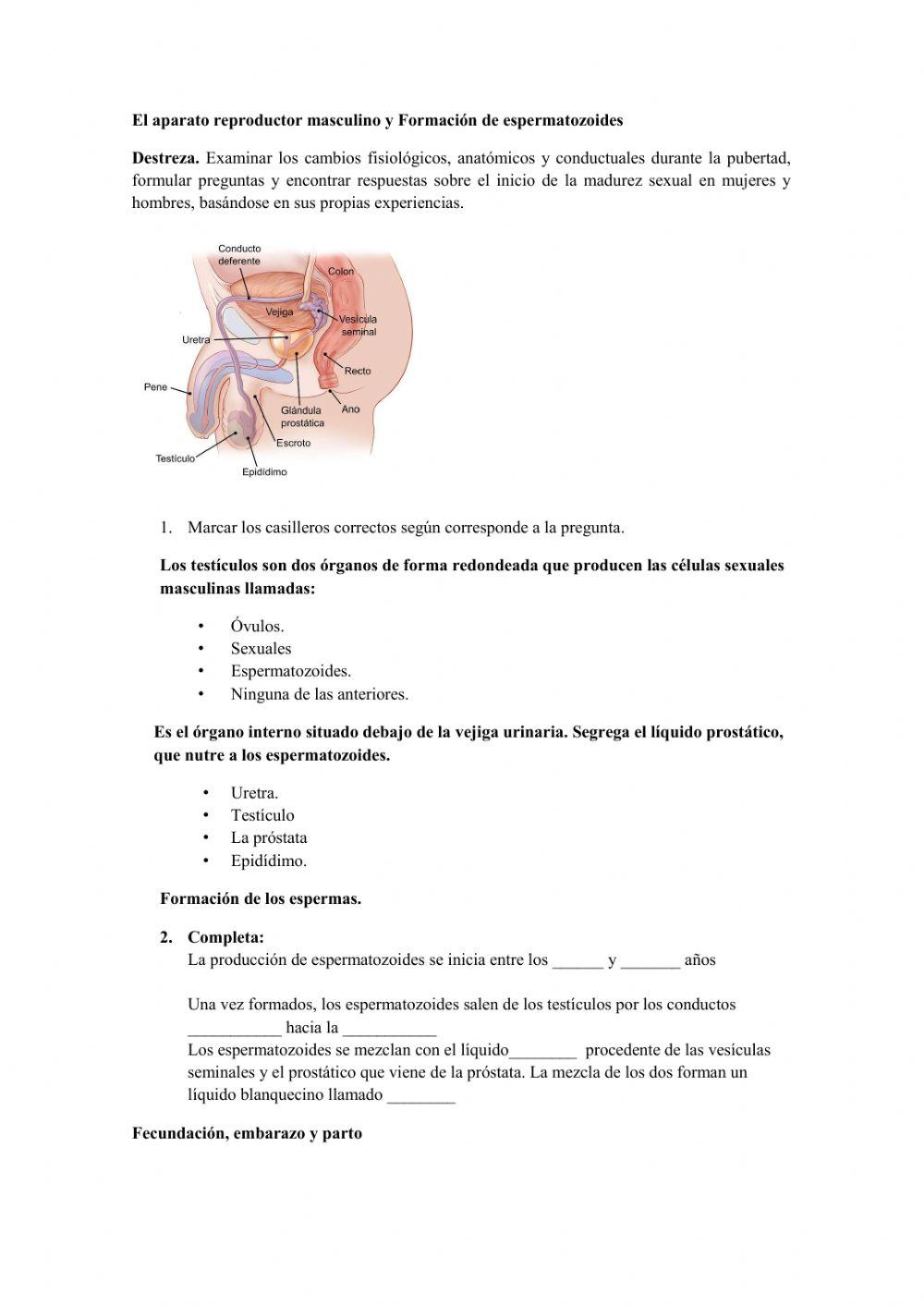 Repaso ciencias naturales 7mo