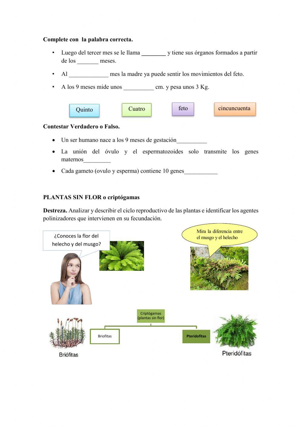 Repaso ciencias naturales 7mo