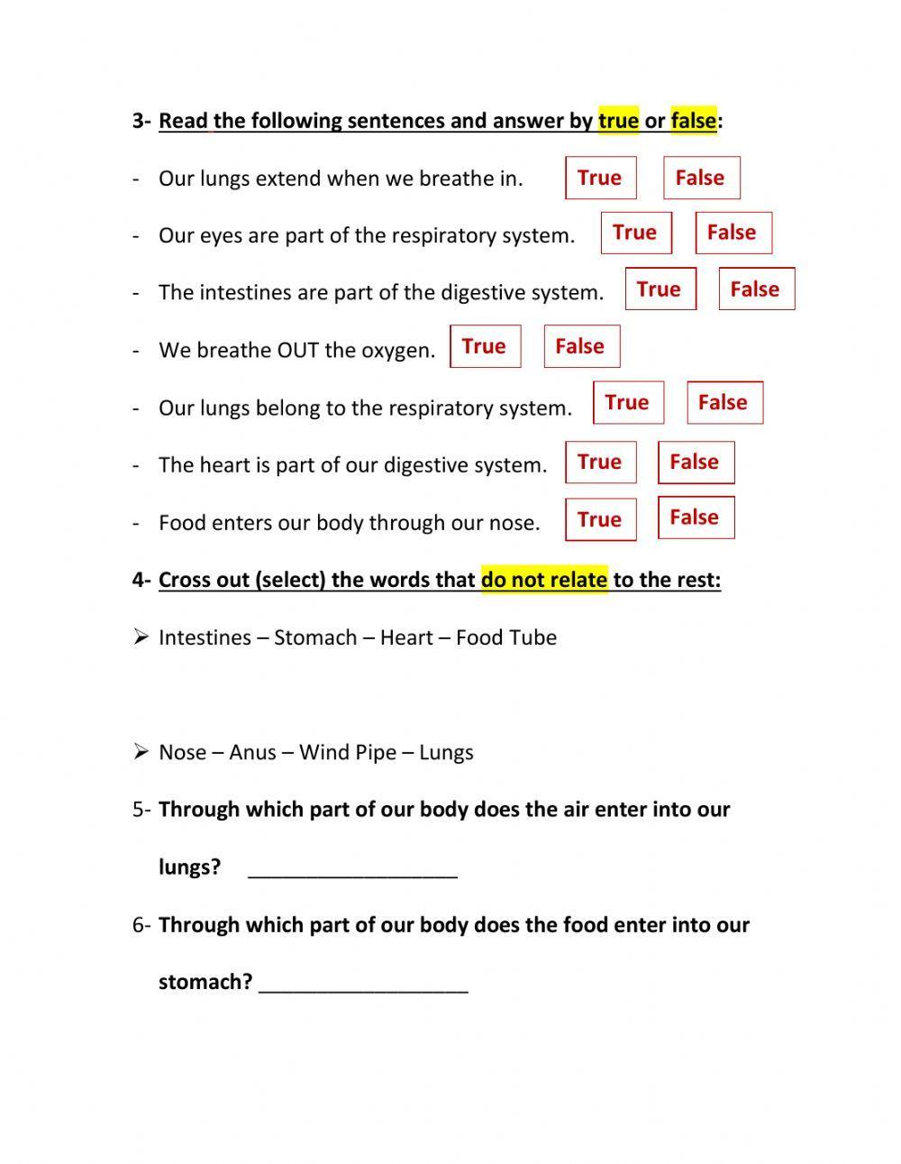 The Respiratory System and The Digestive System