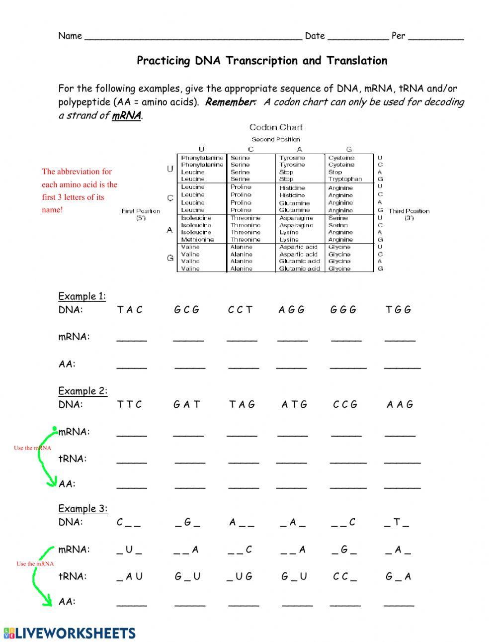 Transcription and Translation Worksheet online exercise for Live