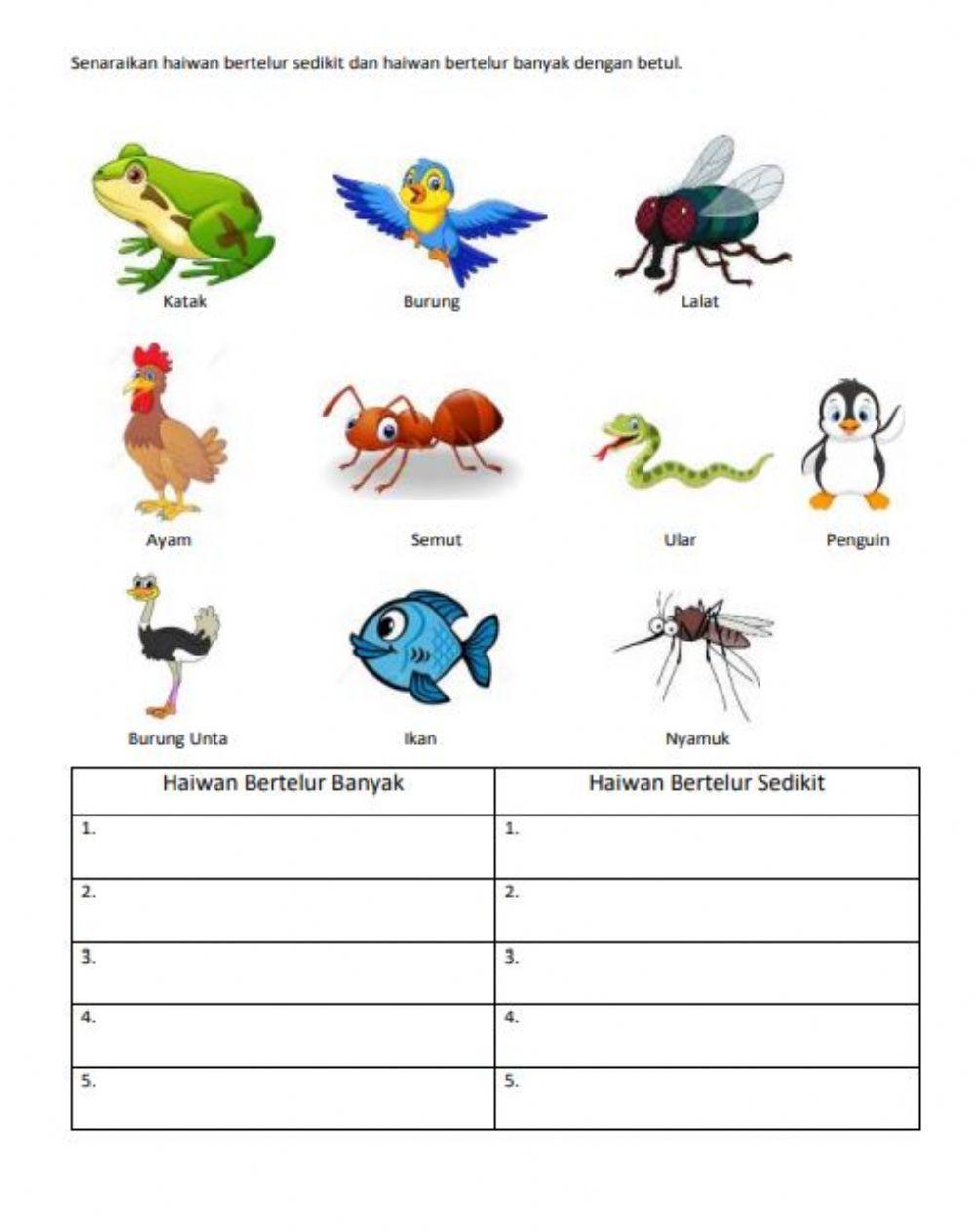 Haiwan bertelur tahun 2