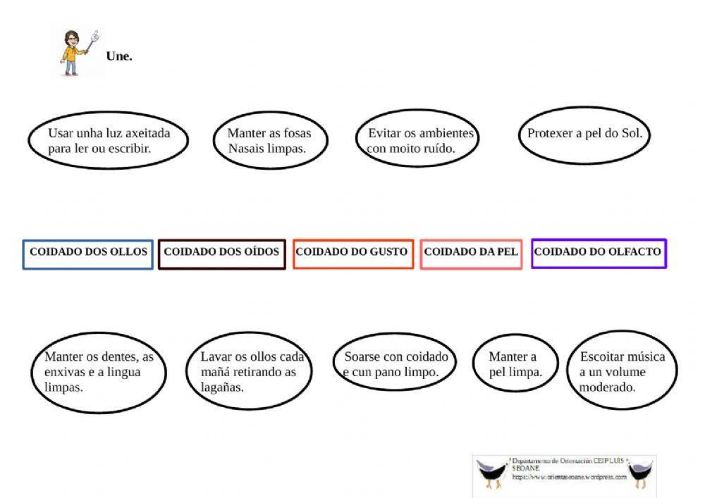 O coidado dos sentidos