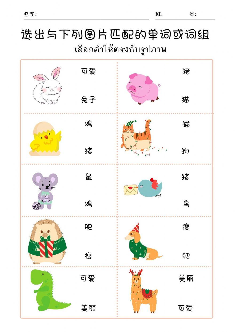 这只兔子很可爱