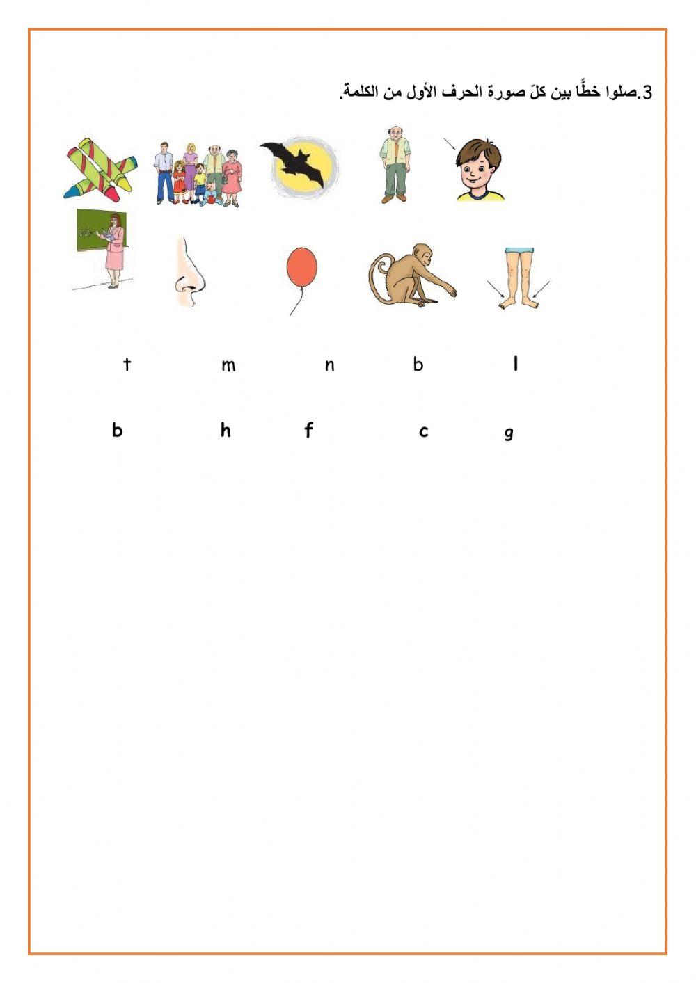 Vocabulary Worksheet