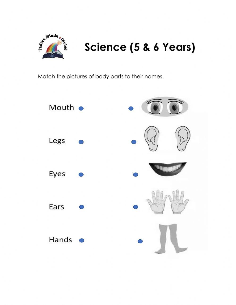5 & 6 Years: Science (Body Parts 1)