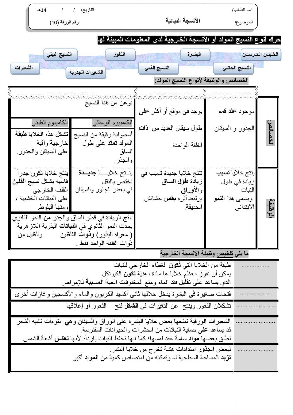 ورقة 10تفاعلية3