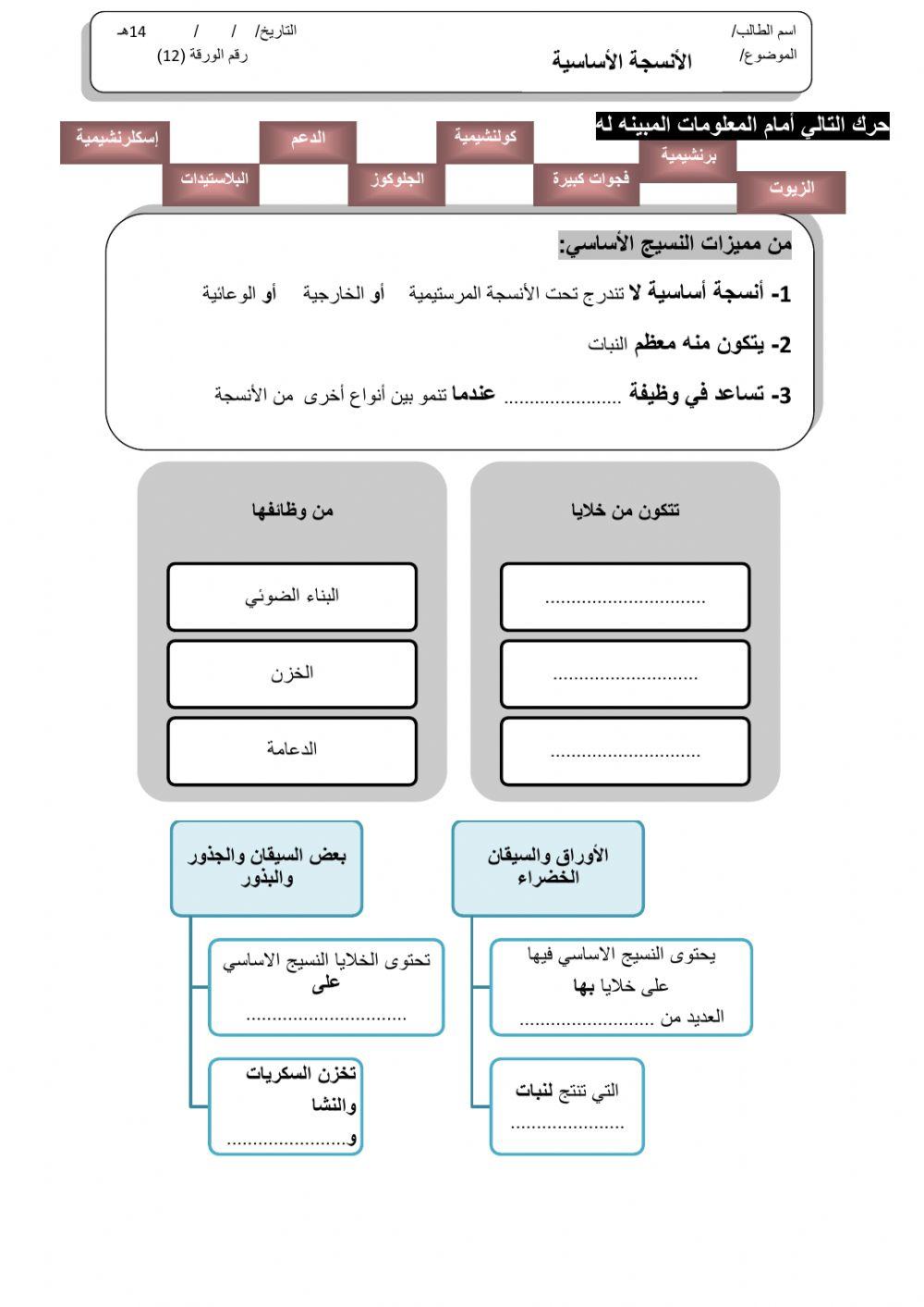 ورقة 12تفاعلية3