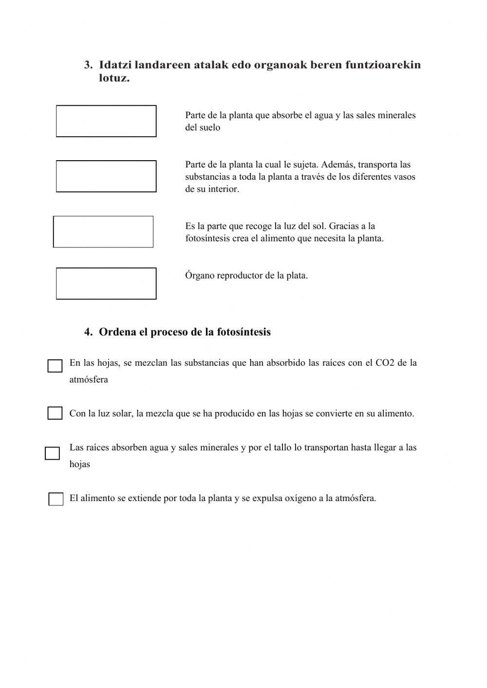 Examen plantas