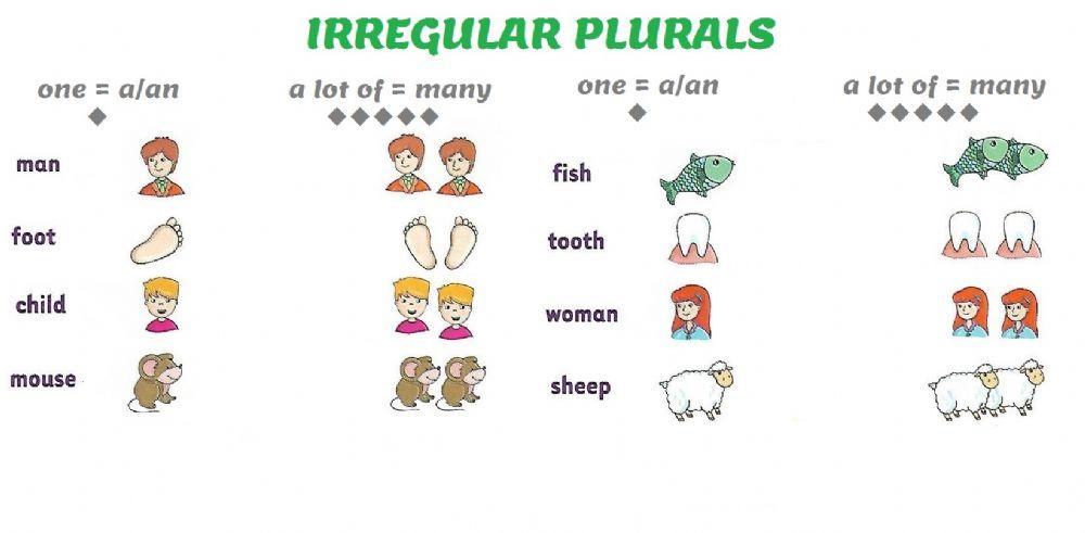 Irregular Plurals Quiz Irregular Plurals Quiz
