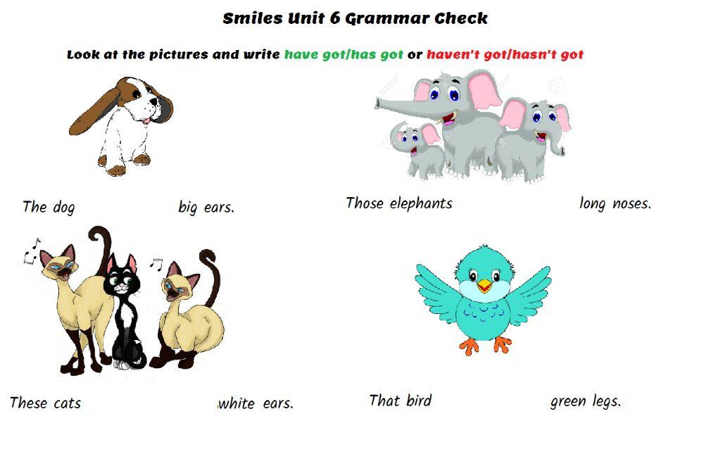 Smiles Ja 6 Have got Quiz