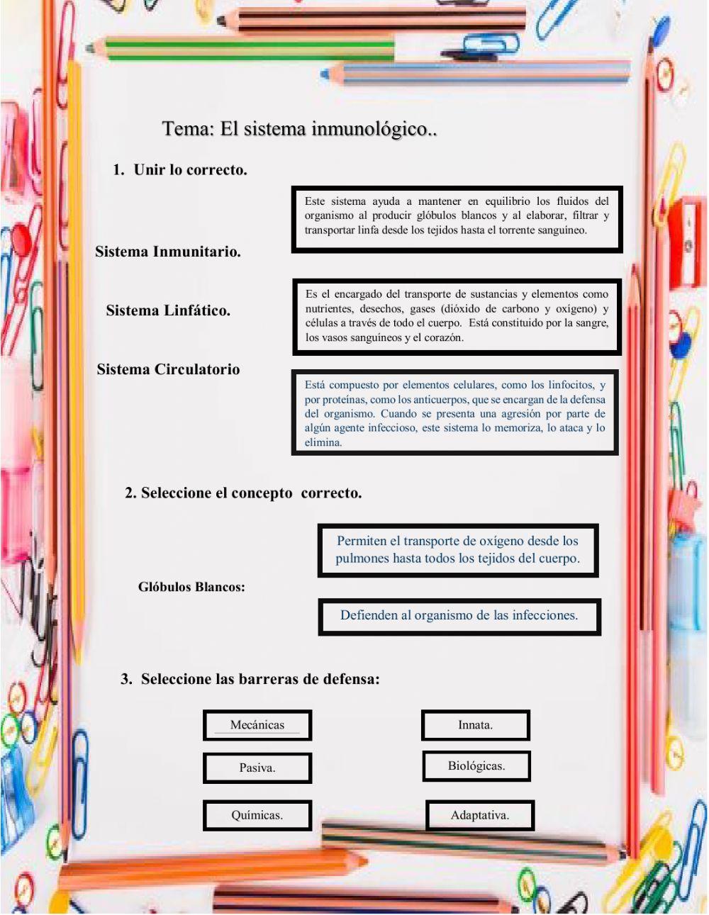 El sistema inmunitario.