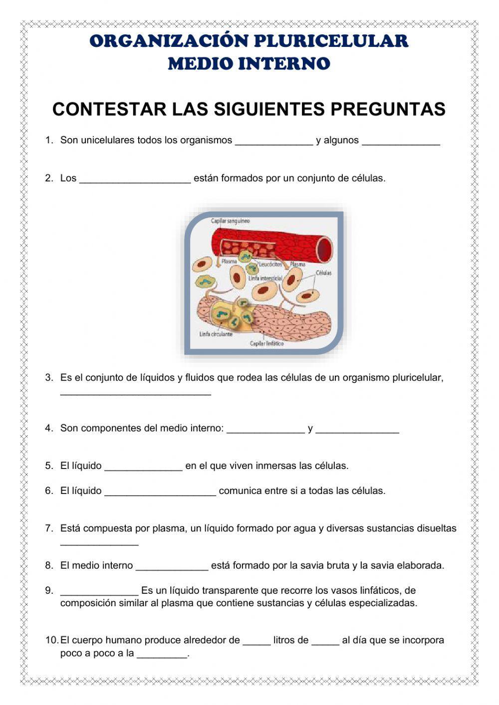 Medio interno-organizacion pluricelular