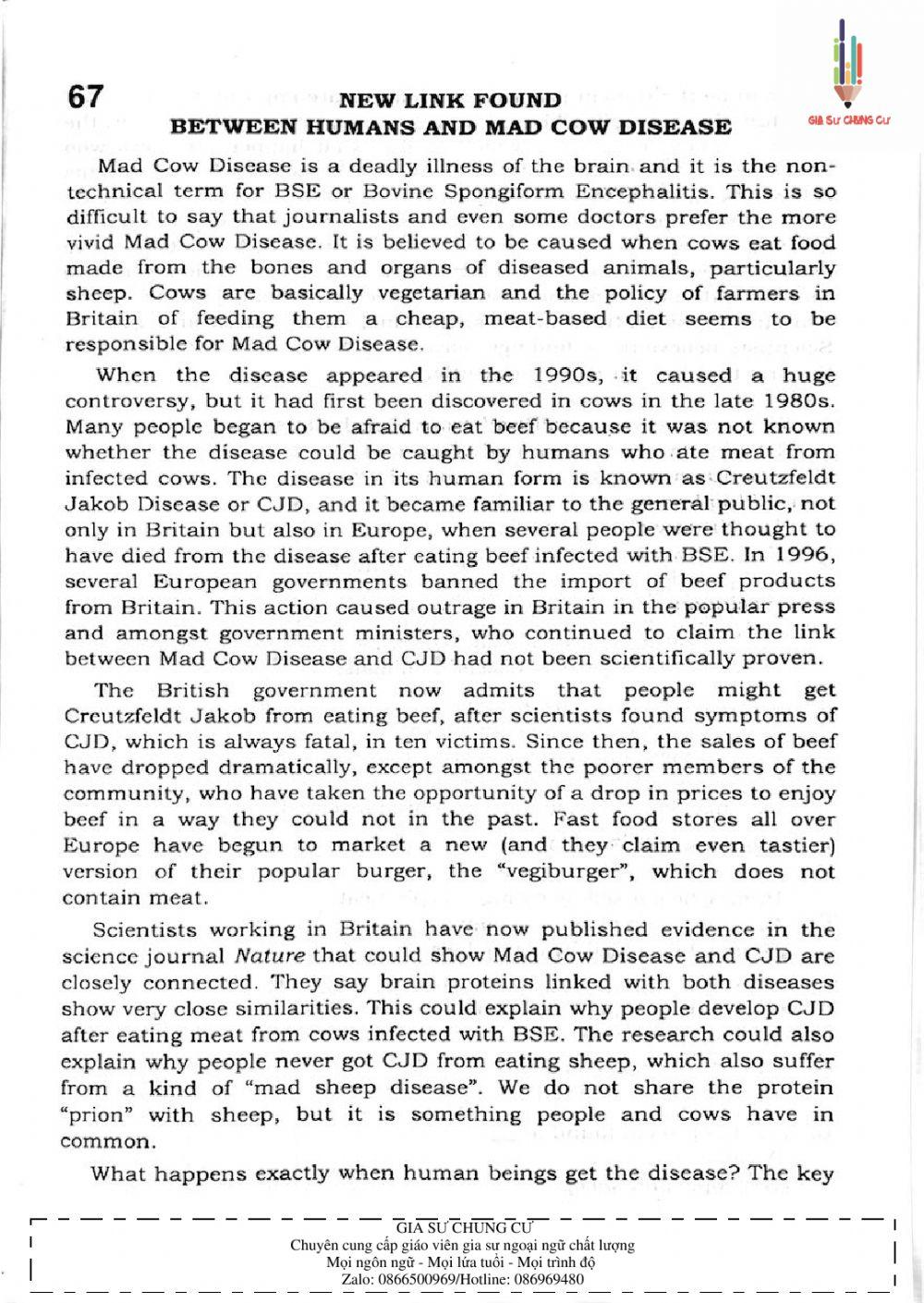 Trắc nghiệm Kỹ năng đọc hiểu Tiếng Anh số 23