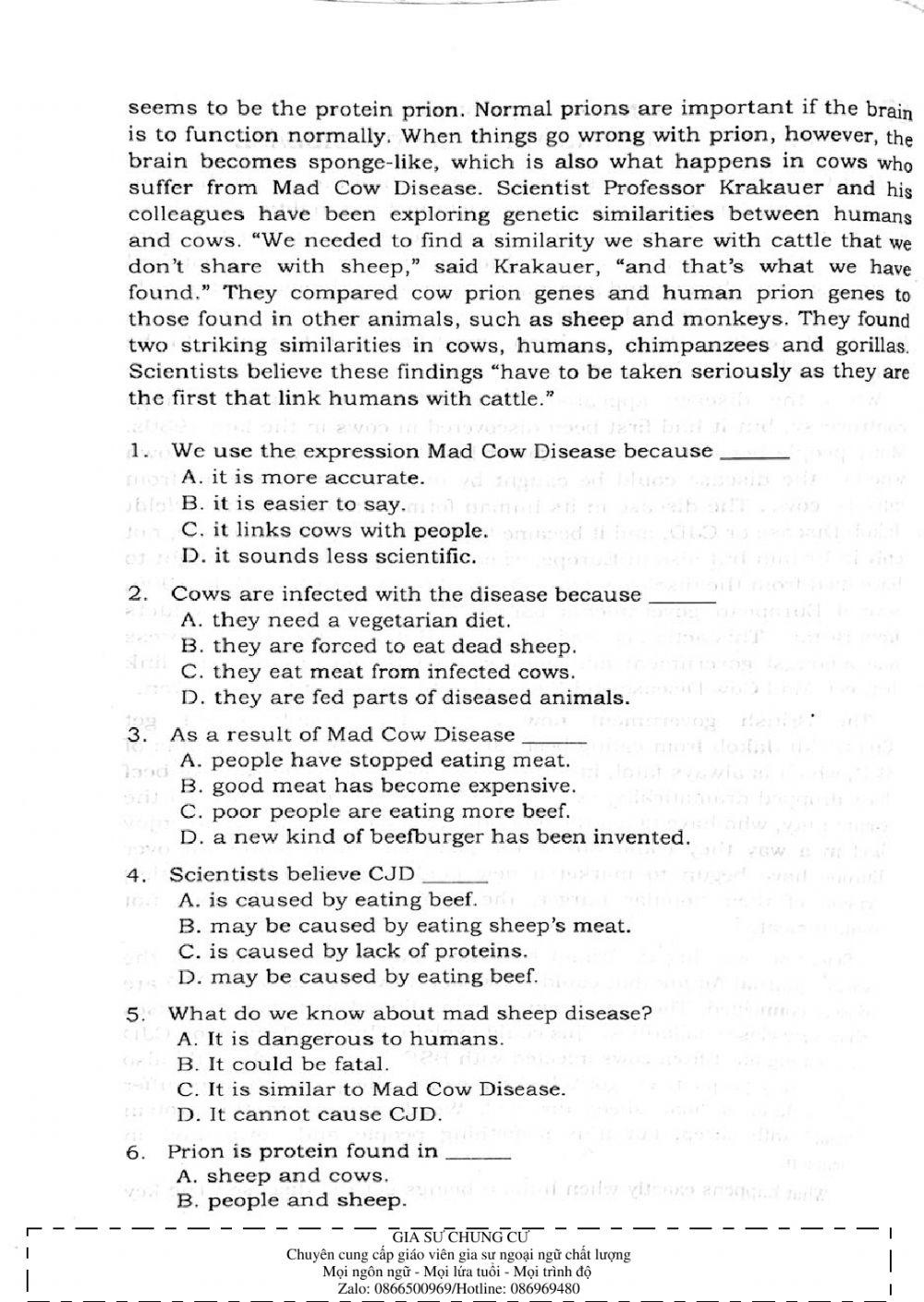 Trắc nghiệm Kỹ năng đọc hiểu Tiếng Anh số 23