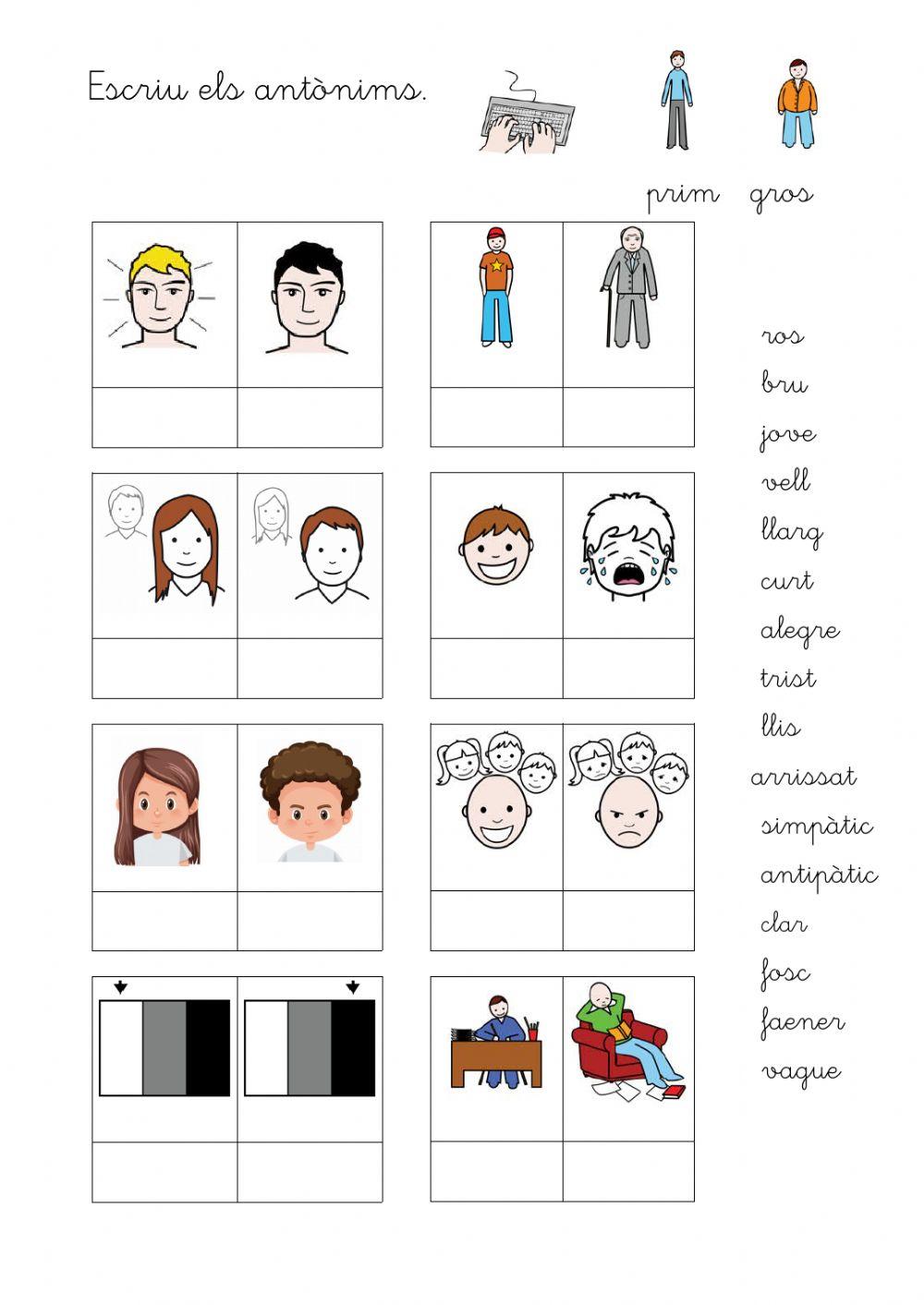 Copiar antònims. Adjectius de persones.