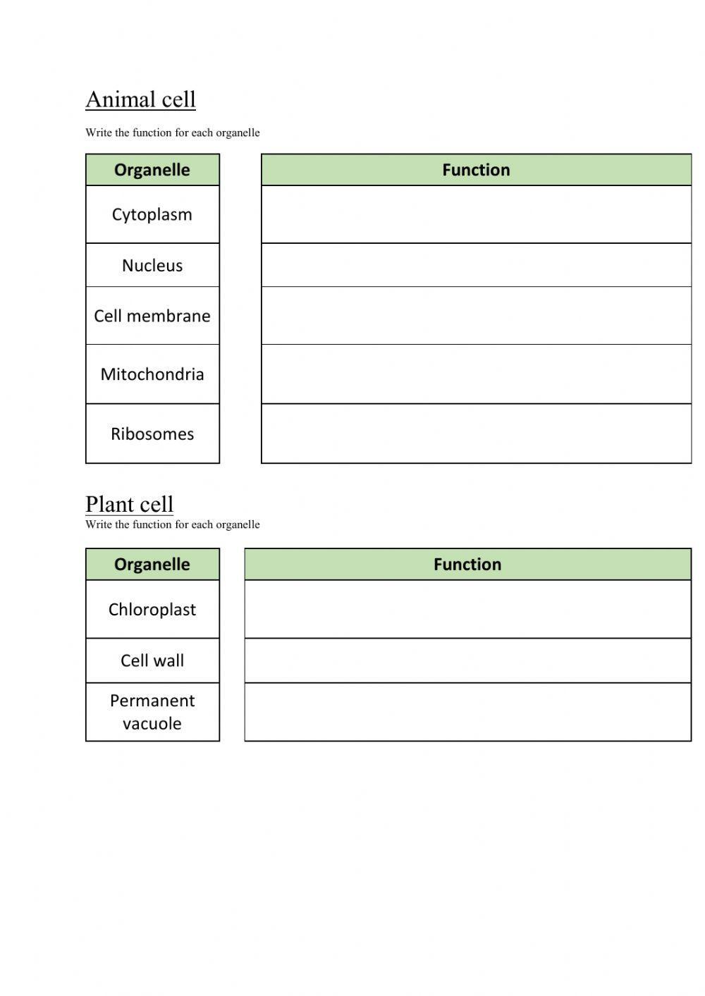 Plant and animal cell function