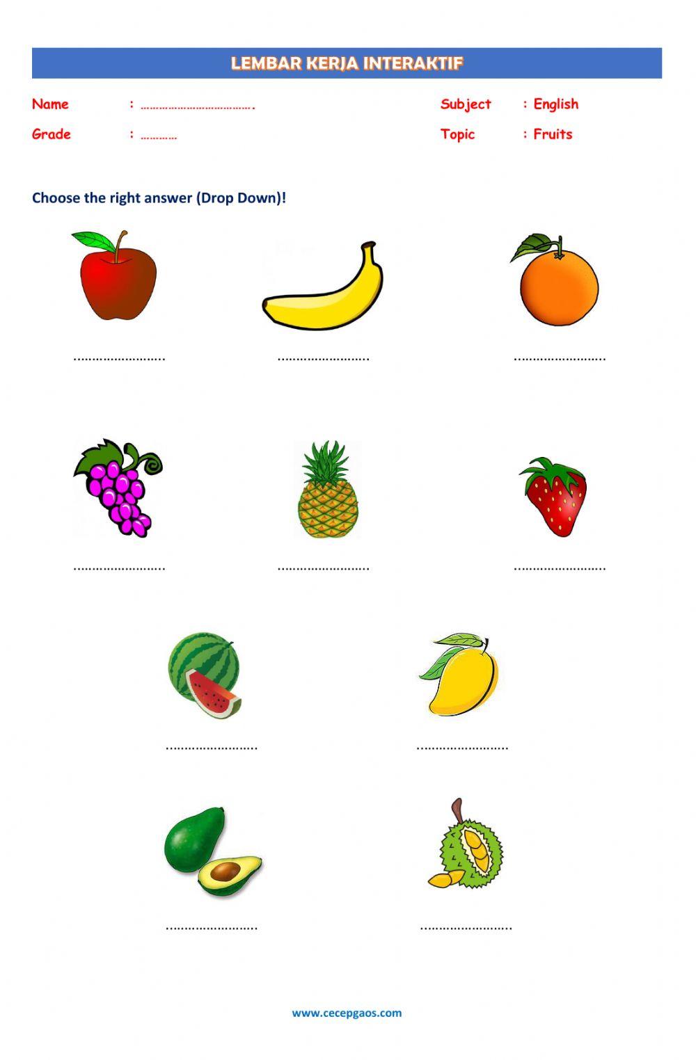 LKS Interaktif tentang Fruits