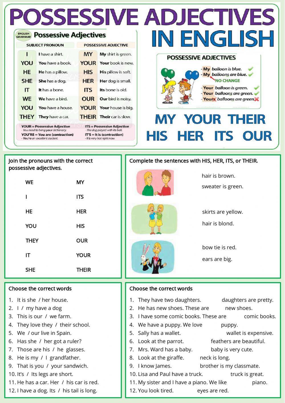 Possessive Adjectives