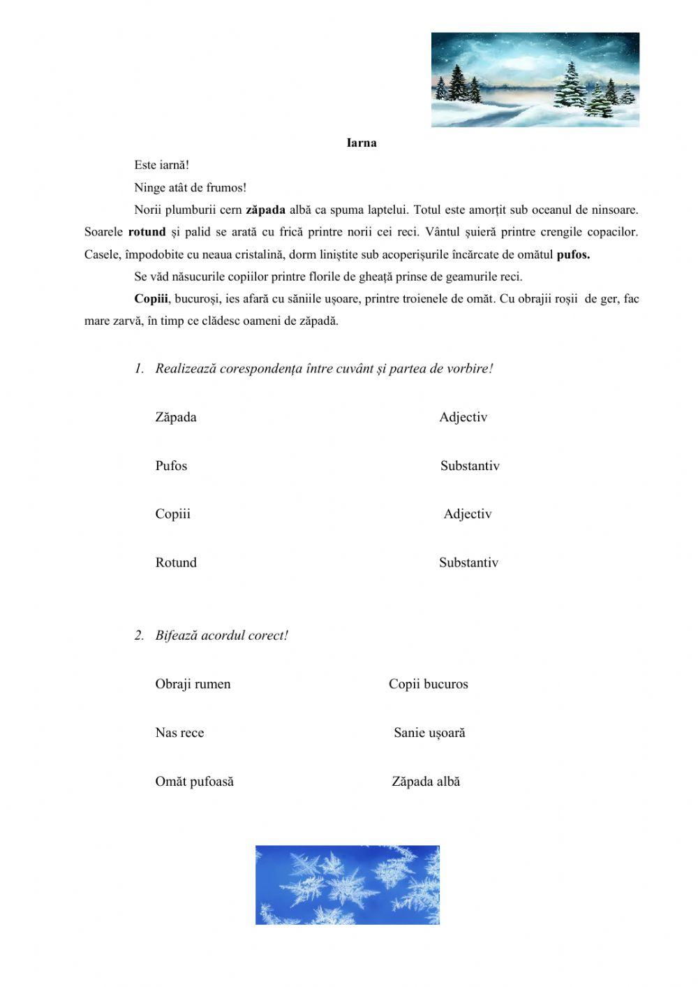 iarna - substantiv, adjectiv