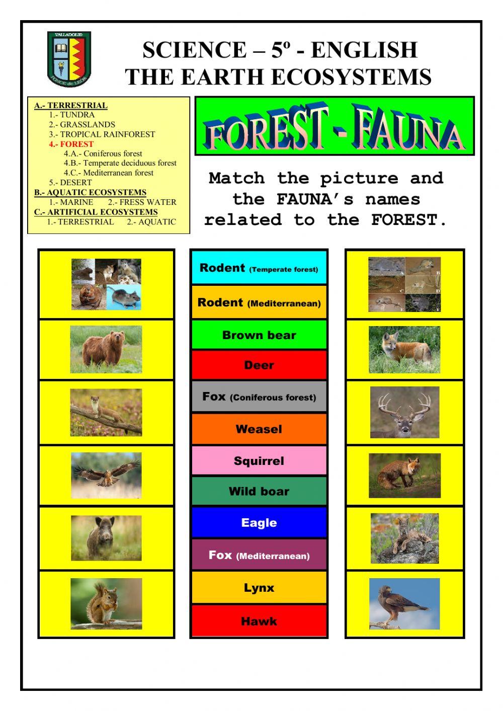 Ecosystems: terrestrial - FOREST (FAUNA)