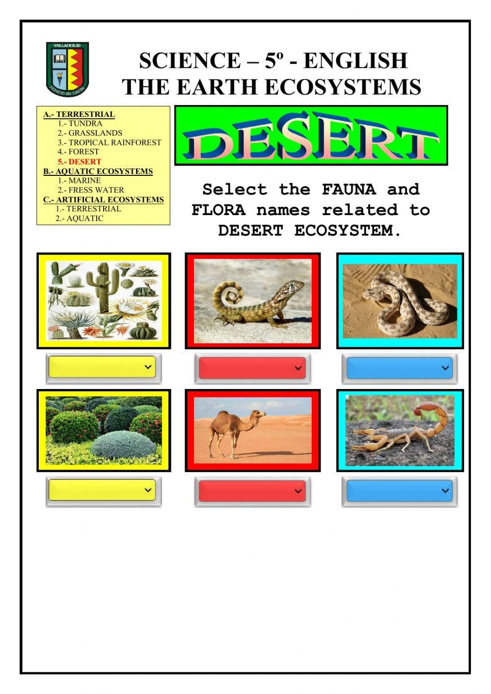 Ecosystems: terrestrial - desert