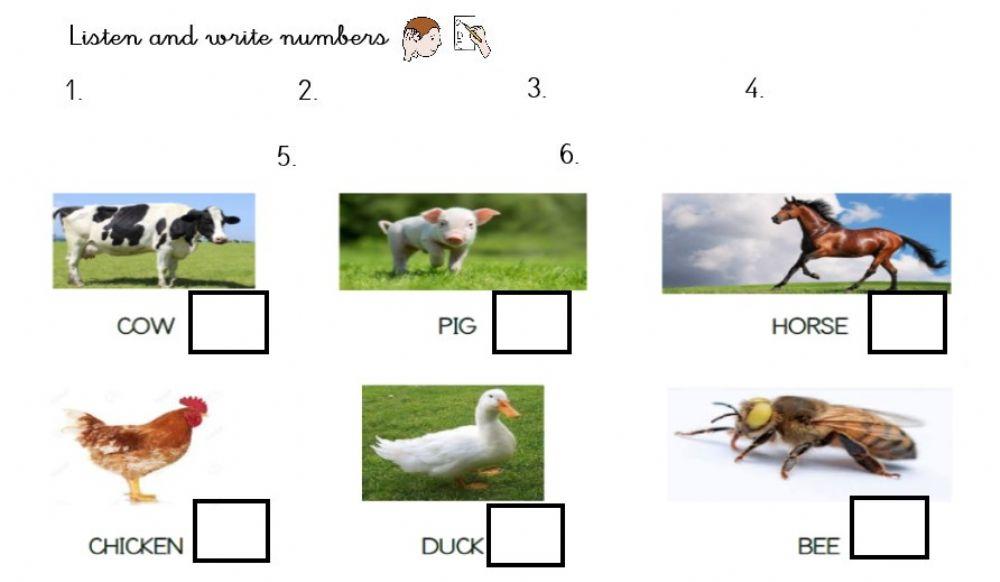 Farm animals (con pictogramas