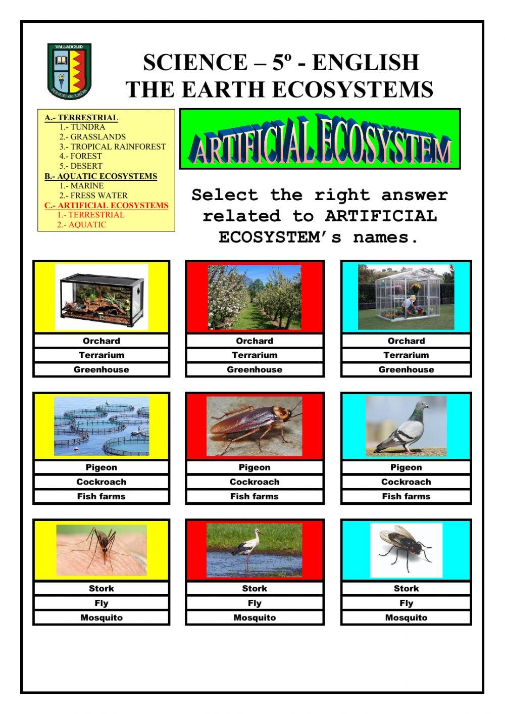 Ecosystems: artificial