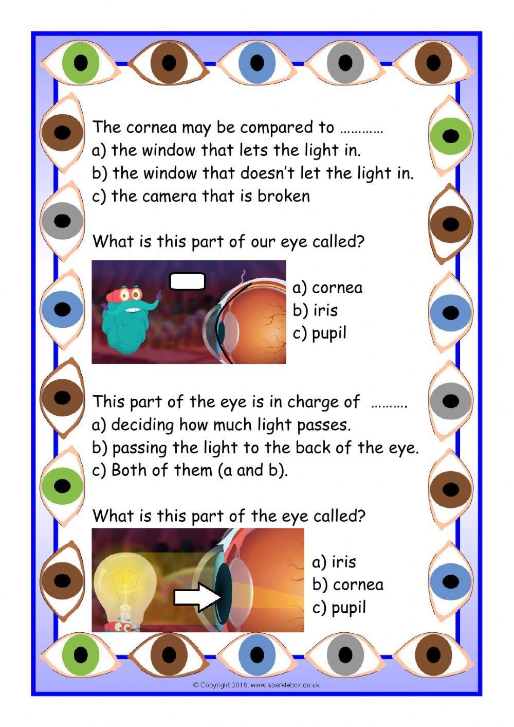 The Human Eye